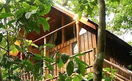 Bayrams Tree Houses Олимпос Екстериор снимка
