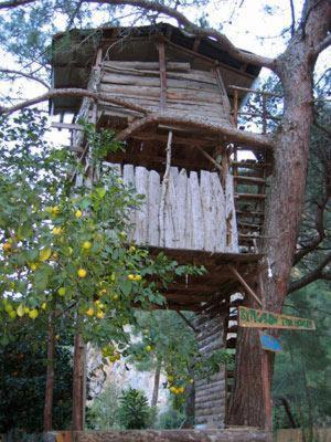 Bayrams Tree Houses Олимпос Стая снимка