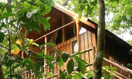 Bayrams Tree Houses Олимпос Екстериор снимка