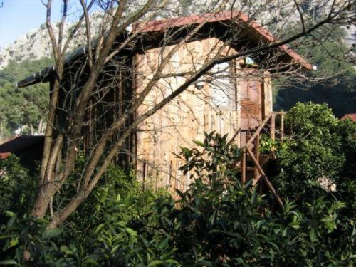 Bayrams Tree Houses Олимпос Стая снимка